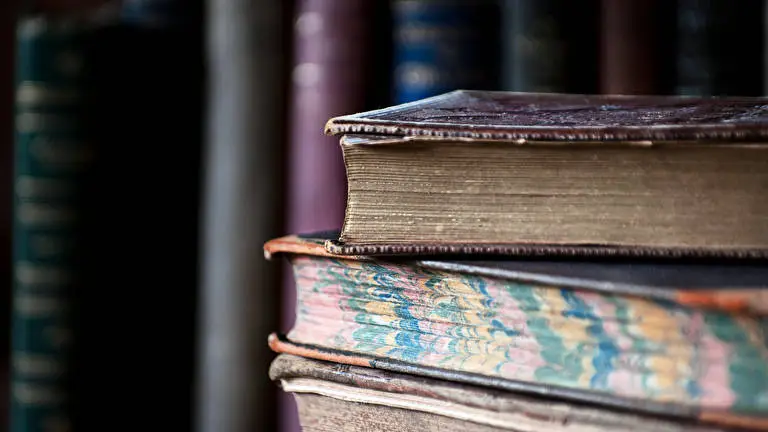 Biblioteca tema para Windows 10 Imagem de slideshow 3