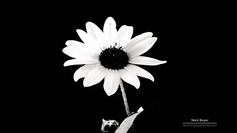 Işık Ve Karanlık Windows 10 için tema Slayt gösterisi görüntüsü 2