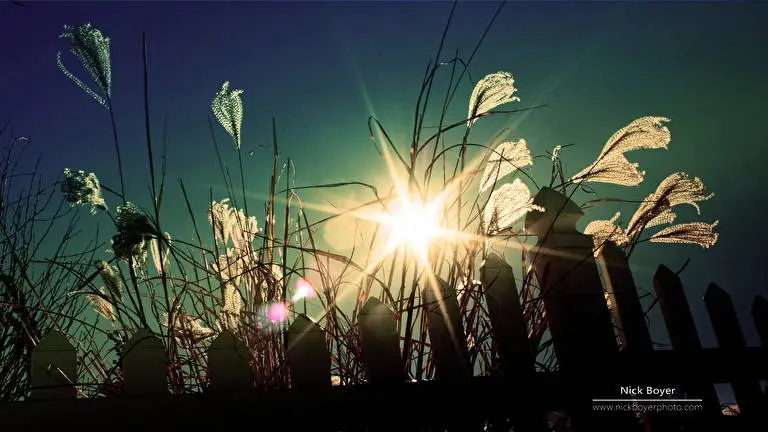 Işık Ve Karanlık Windows 10 için tema Slayt gösterisi görüntüsü 3