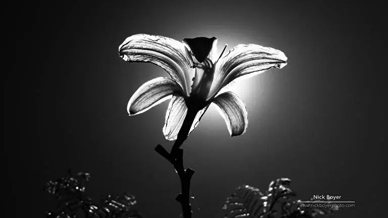 Işık Ve Karanlık Windows 10 için tema Slayt gösterisi görüntüsü 5