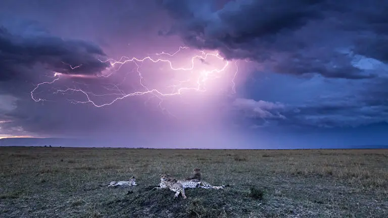 Fulmini tema per Windows 10 Immagine di presentazione 2