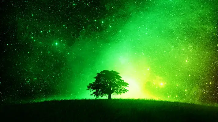 Lime Green theme for Windows 10 Slideshow image 3