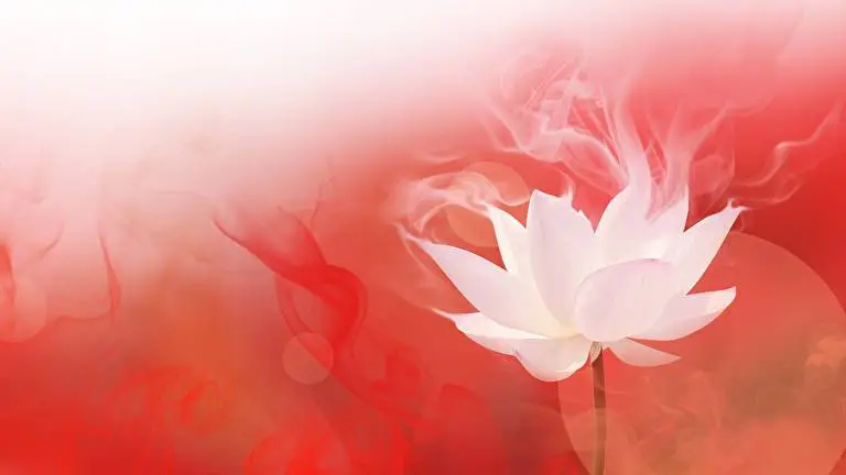 Lotus Flower theme for Windows 10 Slideshow image 4