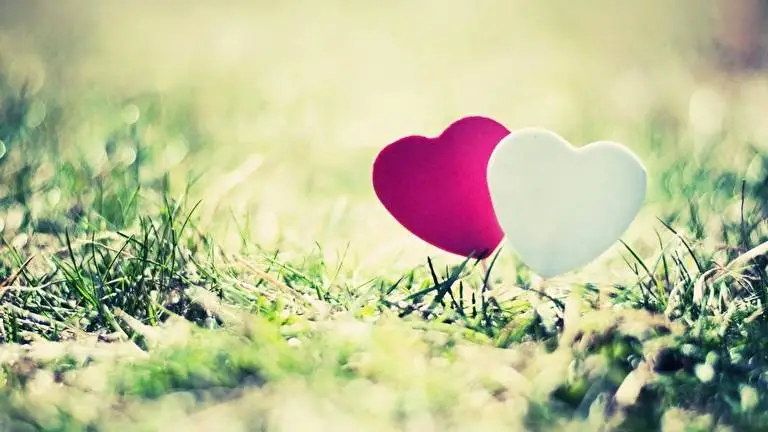 Love theme for Windows 10 Slideshow image 2