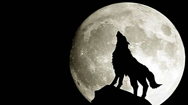 Moon theme for Windows 10 Slideshow image 3