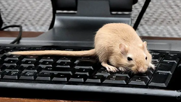 Ratón tema para Windows 10 Imagen de presentación 3