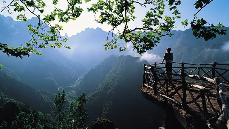 Nature HD theme for Windows 10 Slideshow image 3