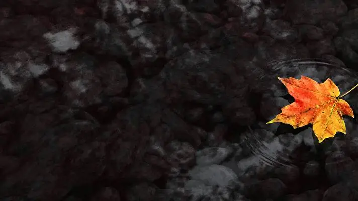 Novembre thème pour Windows 10 Image de diaporama 2