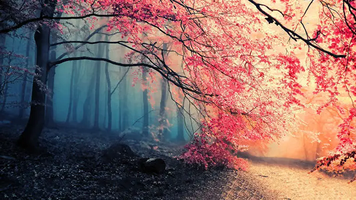 Novembre thème pour Windows 10 Image de diaporama 4