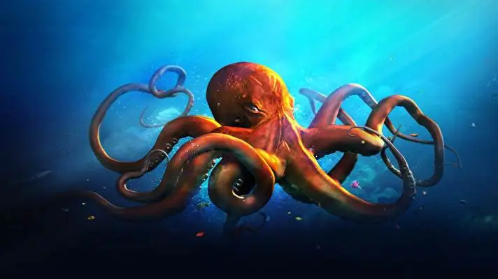 Octopus theme for Windows 10 Slideshow image 4