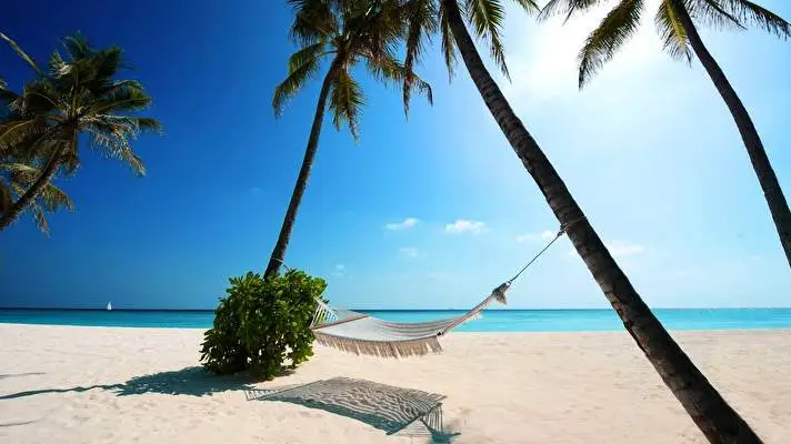 Paradise theme for Windows 10 Slideshow image 3