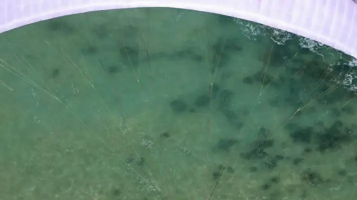 Paragliding theme for Windows 10 Slideshow image 4