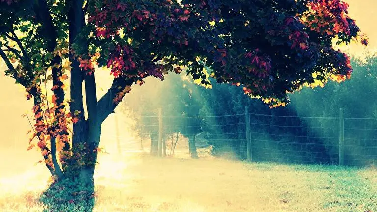 Photography theme for Windows 10 Slideshow image 2