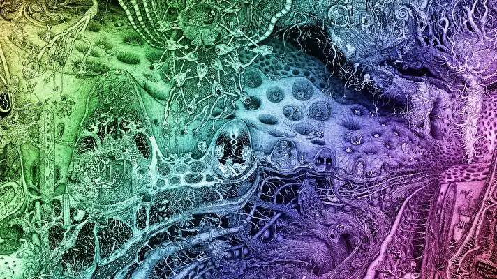 Psikedelik Windows 10 için tema Slayt gösterisi görüntüsü 2