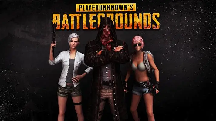 Pubg theme for Windows 10 Slideshow image 1