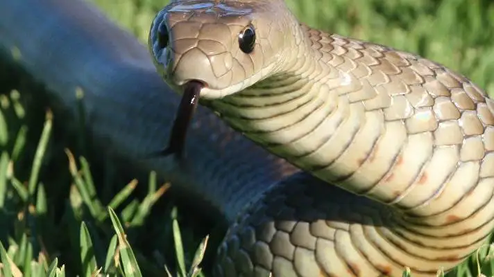 파이썬 Windows 10용 테마 슬라이드쇼 이미지 4