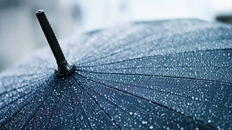 Regendruppels thema voor Windows 10 Diavoorstelling afbeelding 4