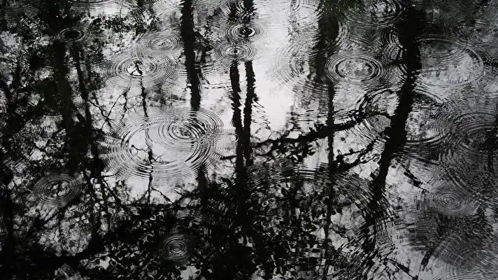 Pioggia nella Foresta tema per Windows 10 Immagine di presentazione 1