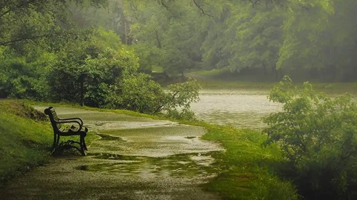 Deszczowa Natura motyw dla Windows 10 Obraz pokazu slajdów 2