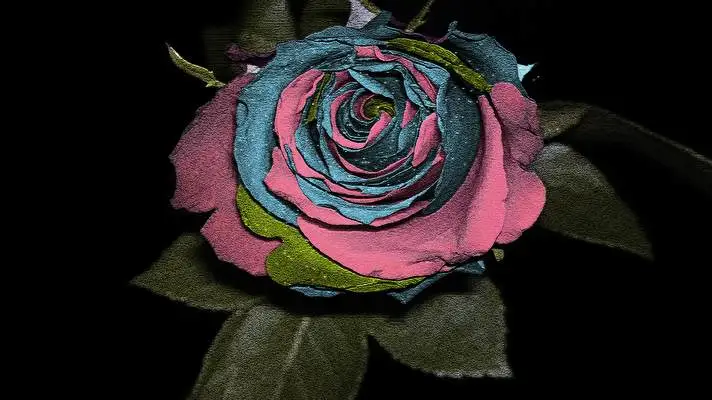 Rose theme for Windows 10 Slideshow image 3