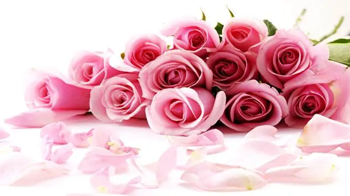 Roses theme for Windows 10 Slideshow image 2