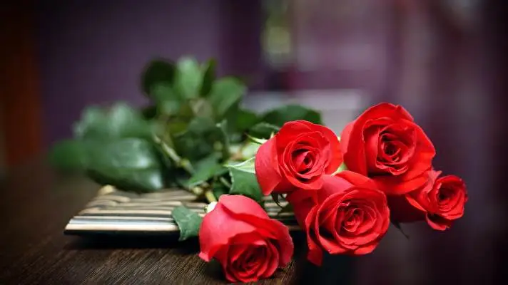 Roses theme for Windows 10 Slideshow image 3