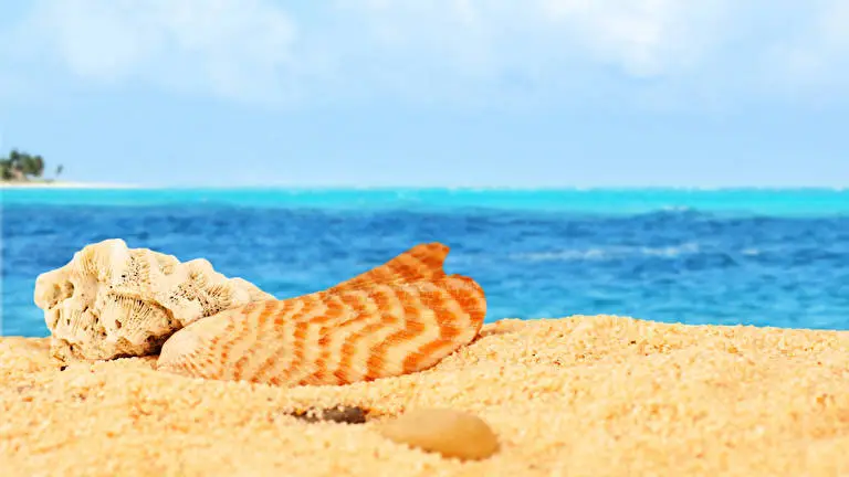 Sand And Ocean theme for Windows 10 Slideshow image 4