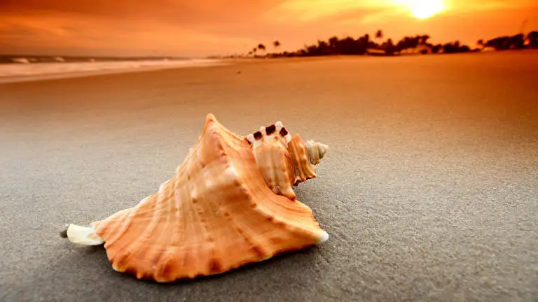 Sand And Ocean theme for Windows 10 Slideshow image 5