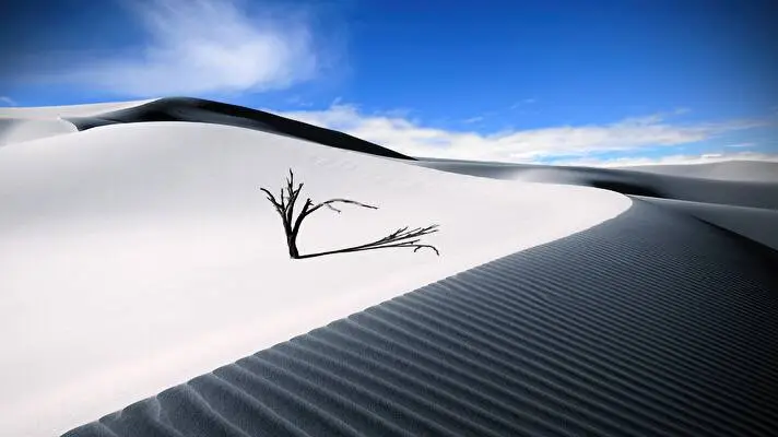 Sand Dunes theme for Windows 10 Slideshow image 4