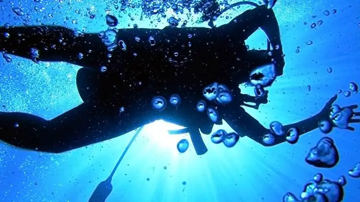 Scuba Diving theme for Windows 10 Slideshow image 1