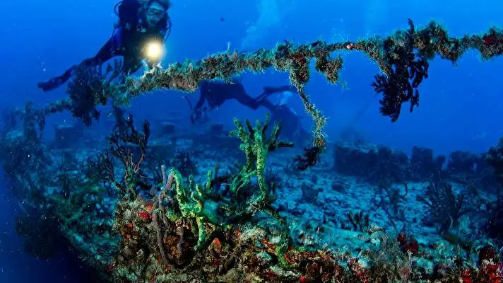 Scuba Diving theme for Windows 10 Slideshow image 2