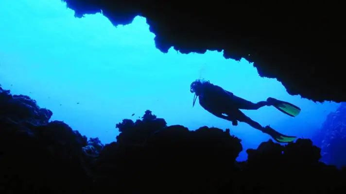 Scuba Diving theme for Windows 10 Slideshow image 4