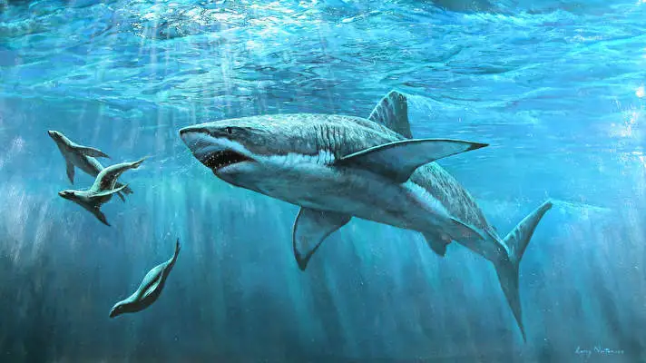 Shark theme for Windows 10 Slideshow image 1