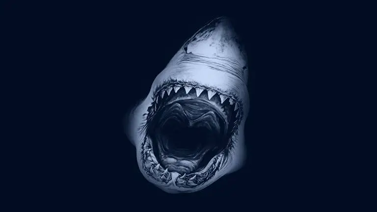 Sharks theme for Windows 10 Slideshow image 1