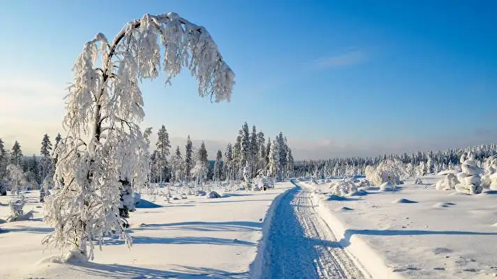 Snow theme for Windows 10 Slideshow image 5