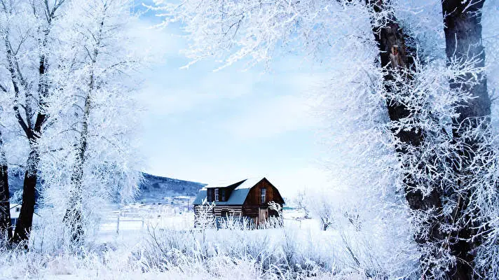 Snowy Day theme for Windows 10 Slideshow image 2