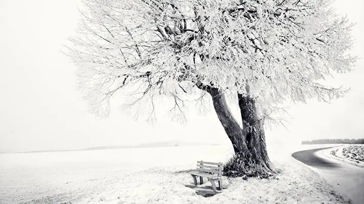 Snowy Day theme for Windows 10 Slideshow image 5