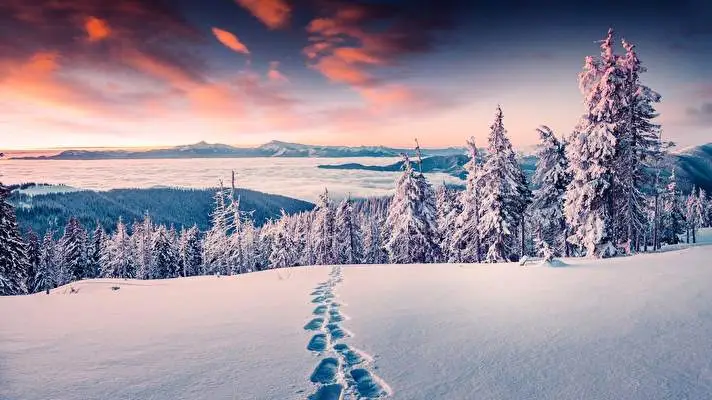 Snowy Landscapes theme for Windows 10 Slideshow image 1