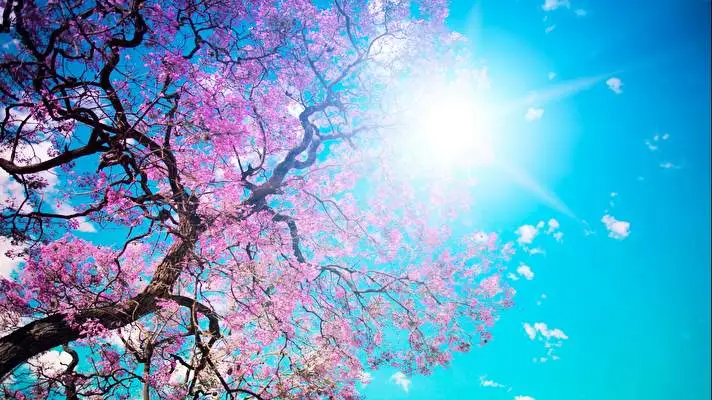 Primavera tema per Windows 10 Immagine di presentazione 1