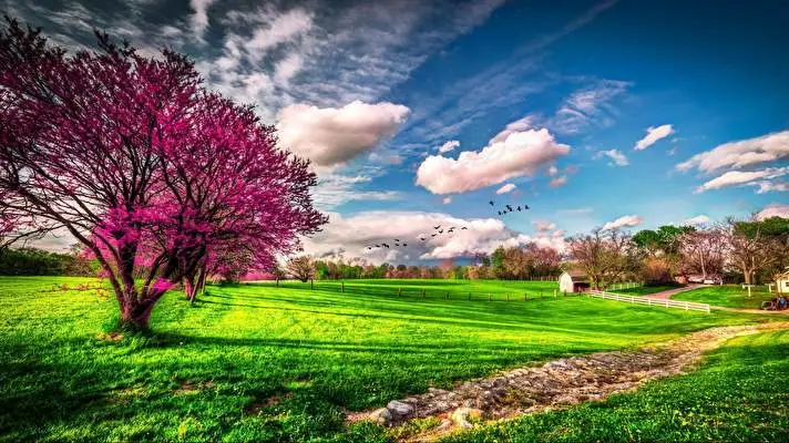 Primavera tema per Windows 10 Immagine di presentazione 2