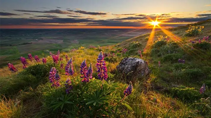 Răsărit temă pentru Windows 10 Imagine diapozitiv 5