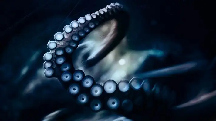 Tentaküller Windows 10 için tema Slayt gösterisi görüntüsü 2