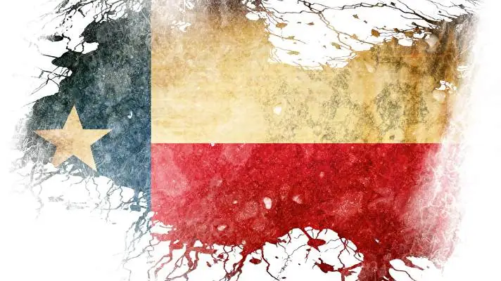 Texas theme for Windows 10 Slideshow image 1