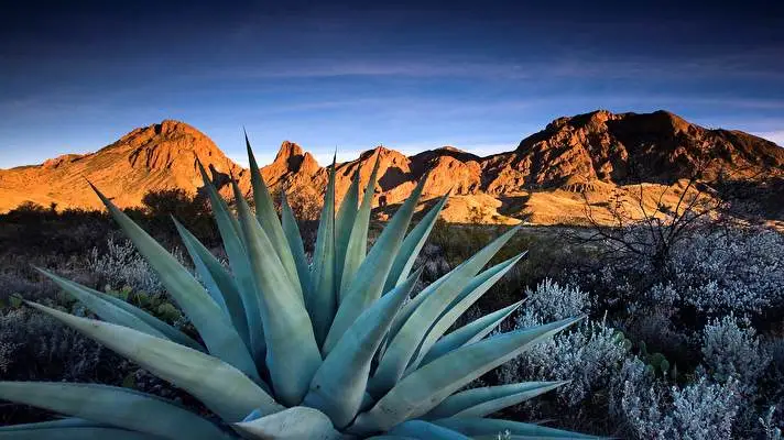 Texas theme for Windows 10 Slideshow image 4