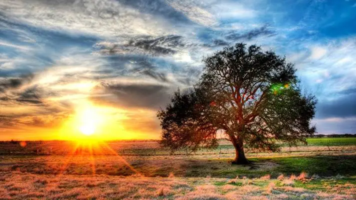 Texas theme for Windows 10 Slideshow image 5