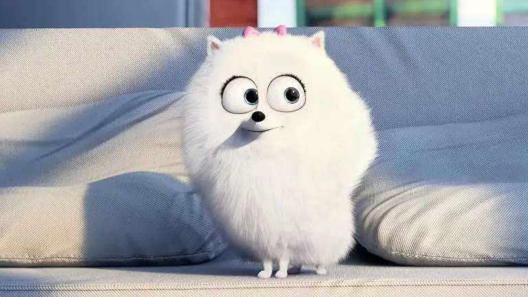 The Secret Life of Pets theme for Windows 10 Slideshow image 3