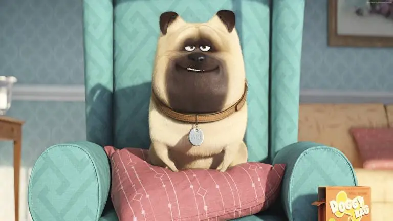 The Secret Life of Pets theme for Windows 10 Slideshow image 5