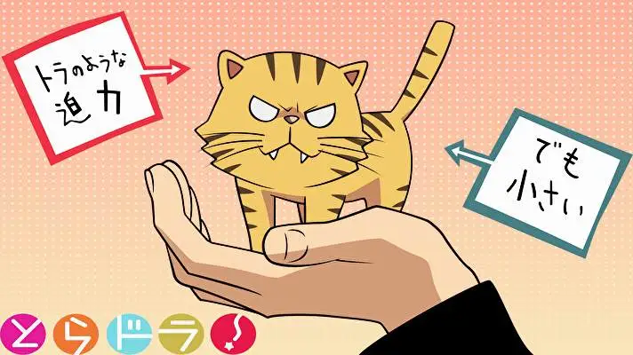 Toradora theme for Windows 10 Slideshow image 3