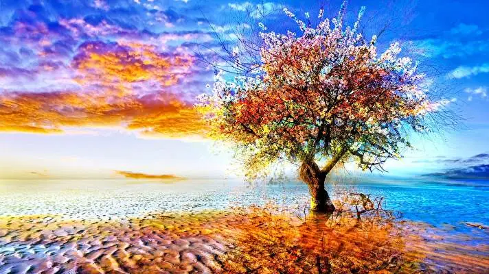 木 Windows 10用テーマ スライドショー画像 4