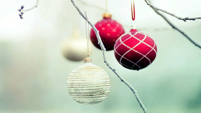 Decoração de Árvores tema para Windows 10 Imagem de slideshow 2